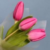 3 малиновых тюльпана Фёрст Стар