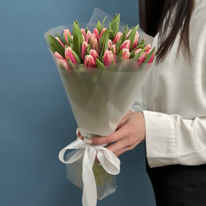 31 махровый тюльпан Нью Санта