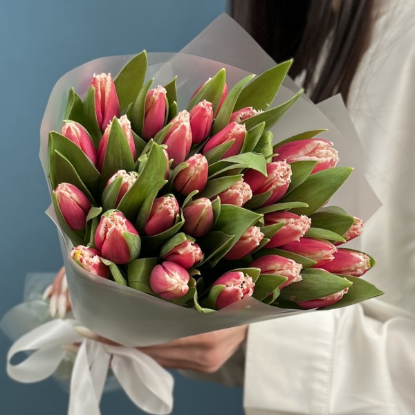 31 махровый тюльпан Нью Санта