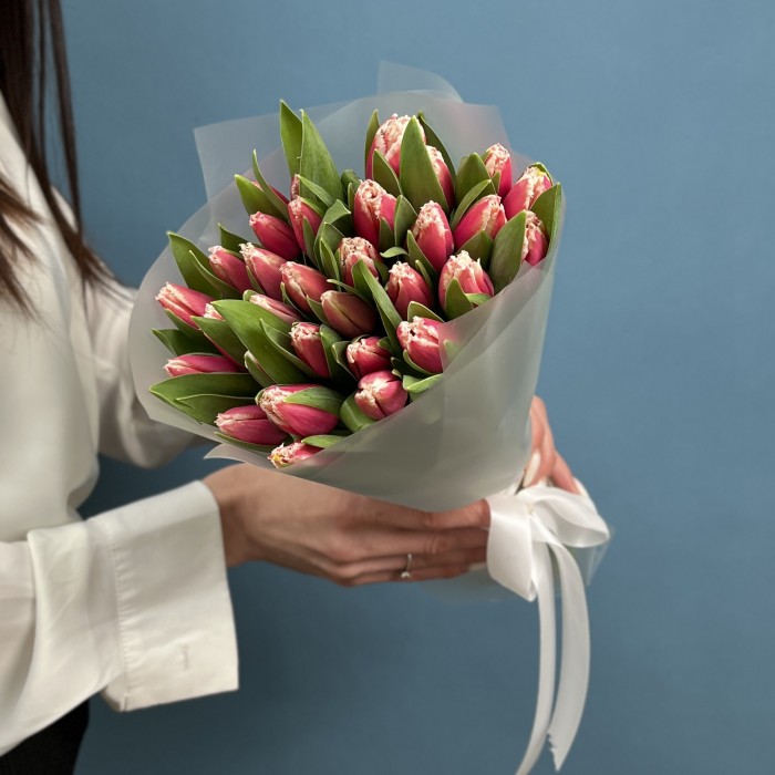 31 махровый тюльпан Нью Санта