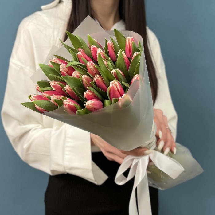 31 махровый тюльпан Нью Санта