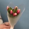 5 махровых красно-белых тюльпанов Нью Санта