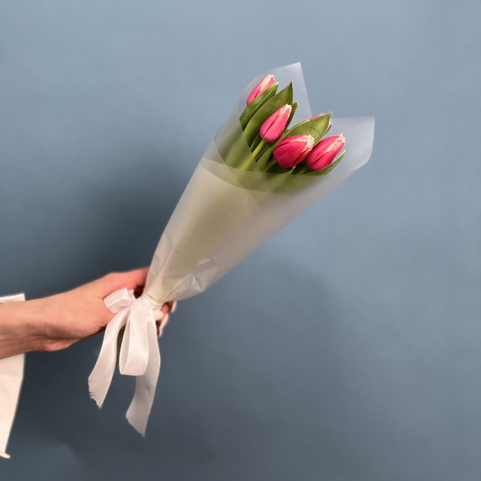 5 махровых тюльпанов Нью Санта