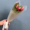 5 махровых красно-белых тюльпанов Нью Санта