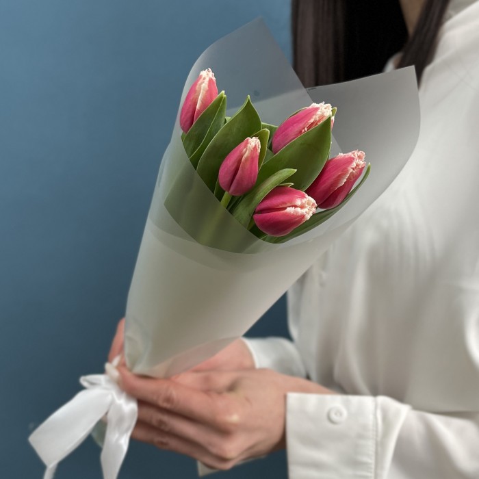 5 махровых тюльпанов Нью Санта