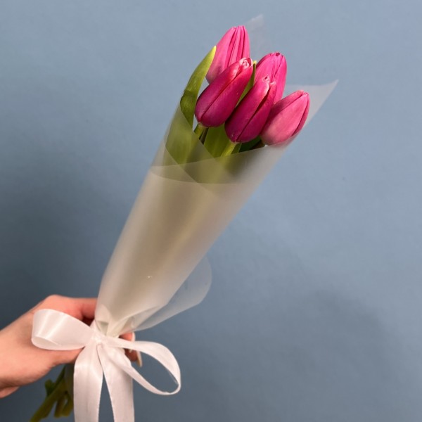 5 малиновых тюльпанов Фёрст Стар