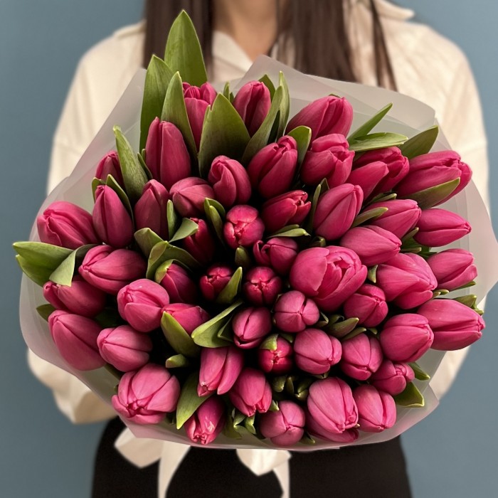 51 малиновый тюльпан Фёрст Стар