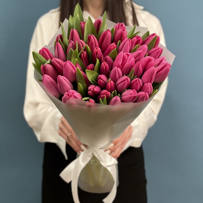 51 малиновый тюльпан Фёрст Стар