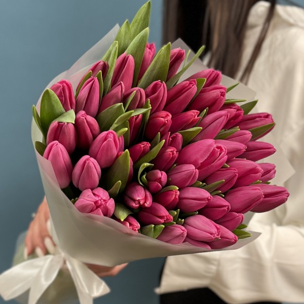 51 малиновый тюльпан Фёрст Стар