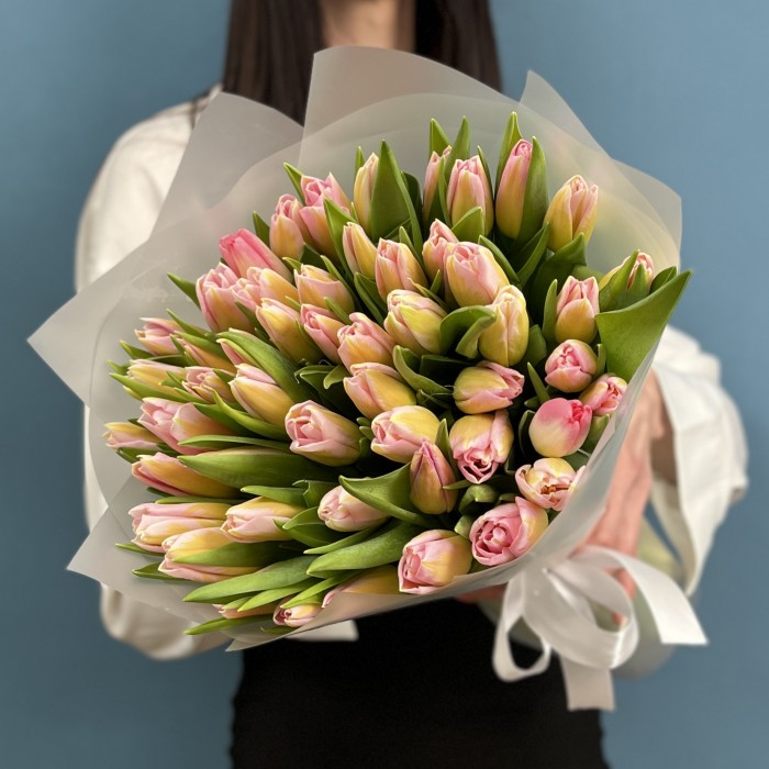 51 тюльпан розовый Династия