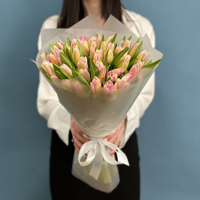 51 тюльпан розовый Династия
