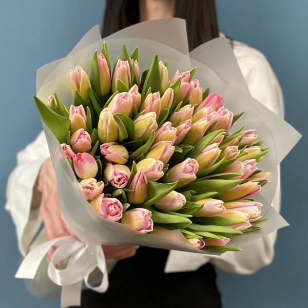 51 тюльпан розовый Династия