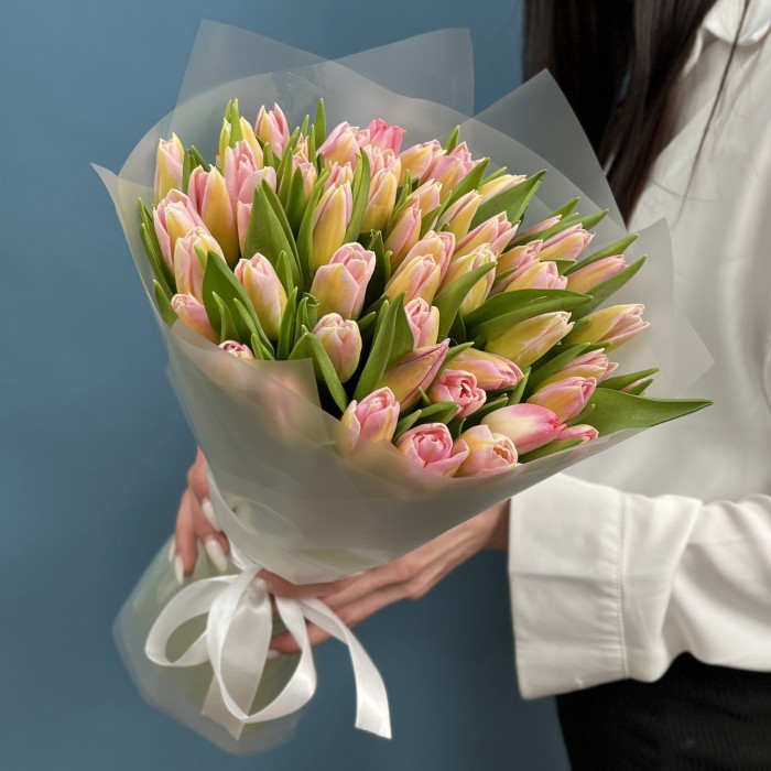 51 тюльпан розовый Династия