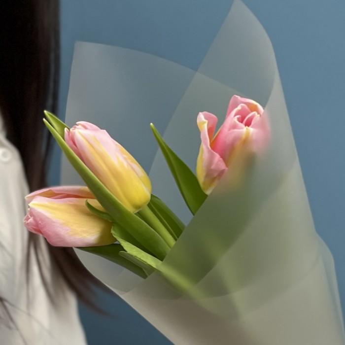 3 розовых тюльпана Династия