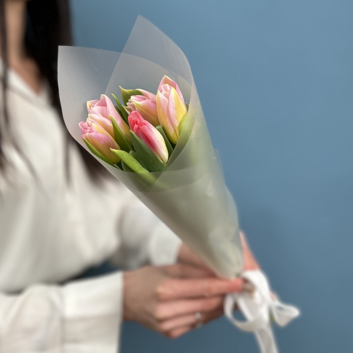 5 розовых тюльпанов Династия в упаковке