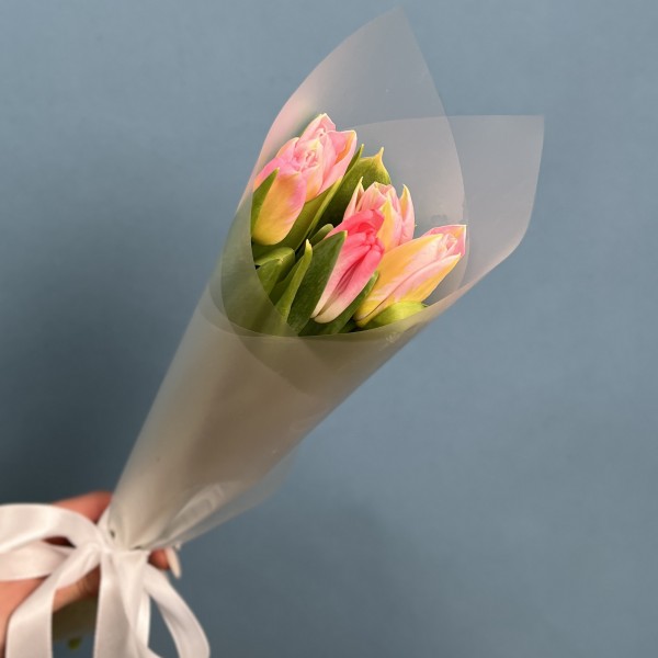 5 розовых тюльпанов Династия в упаковке