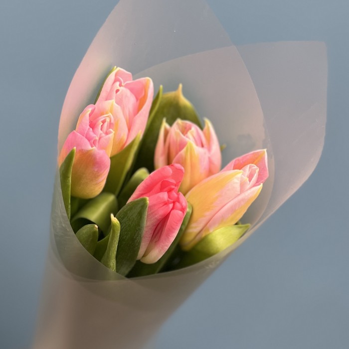 5 розовых тюльпанов Династия в упаковке