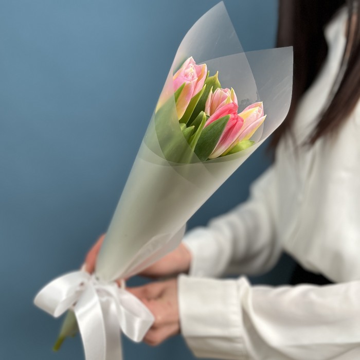 5 розовых тюльпанов Династия в упаковке