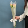 5 розовых тюльпанов Династия в упаковке