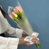 7 розовых тюльпанов Династия в упаковке