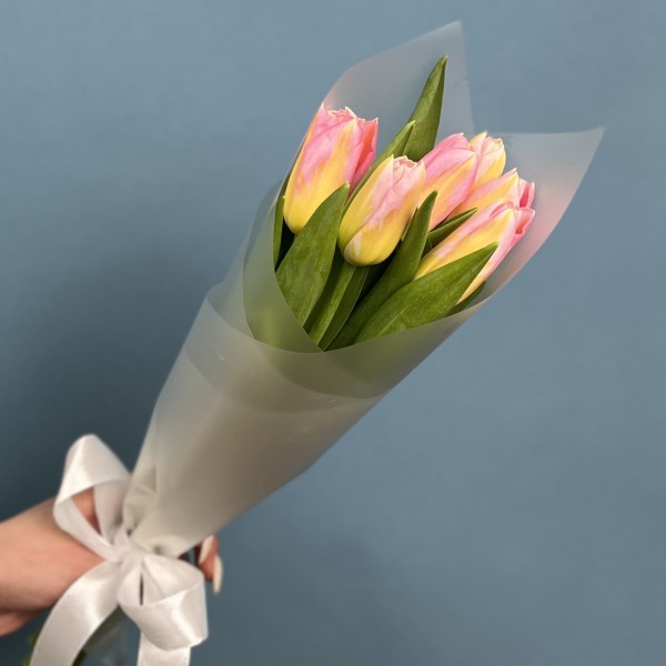 7 розовых тюльпанов Династия в упаковке