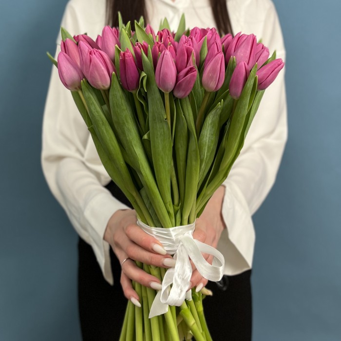 Тюльпан Малиновый Фёрст Стар