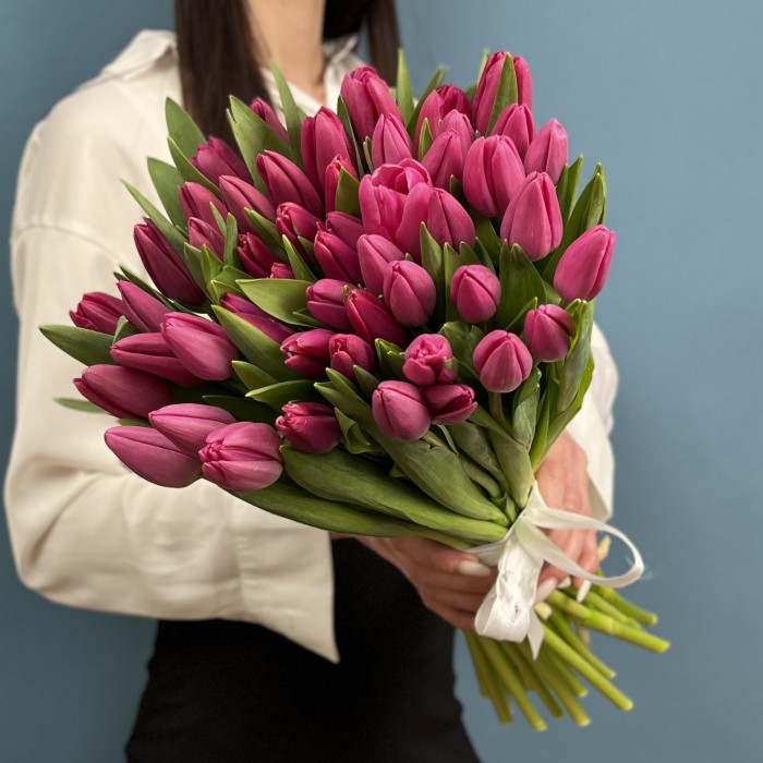 Тюльпан Малиновый Фёрст Стар