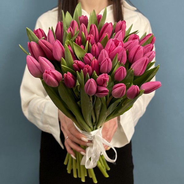 Тюльпан Малиновый Фёрст Стар