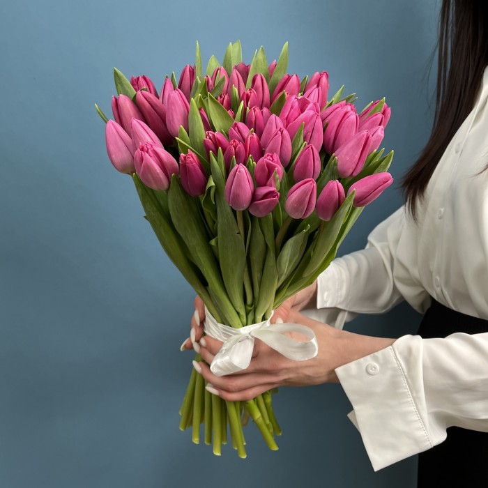 Тюльпан Малиновый Фёрст Стар