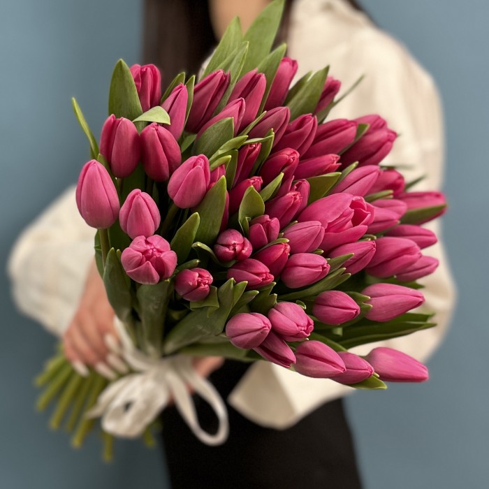 Тюльпан Малиновый Фёрст Стар