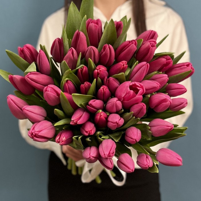 Тюльпан Малиновый Фёрст Стар