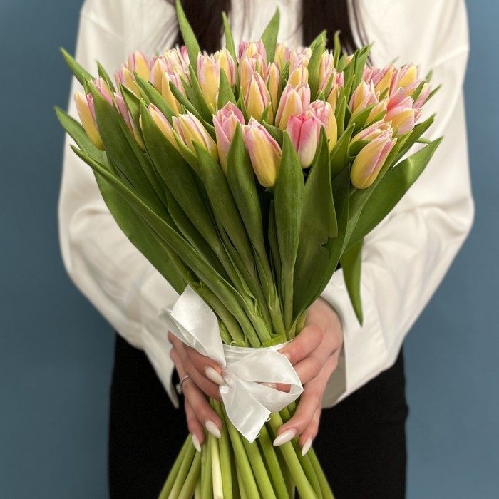 Тюльпан розовый Династия