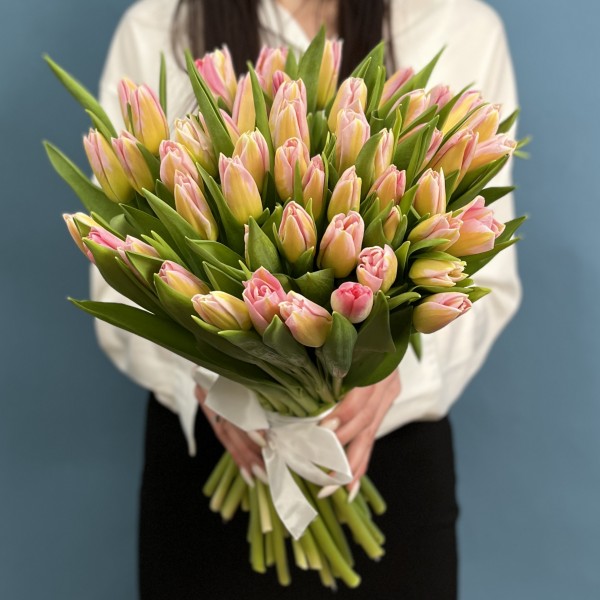 Тюльпан розовый Династия