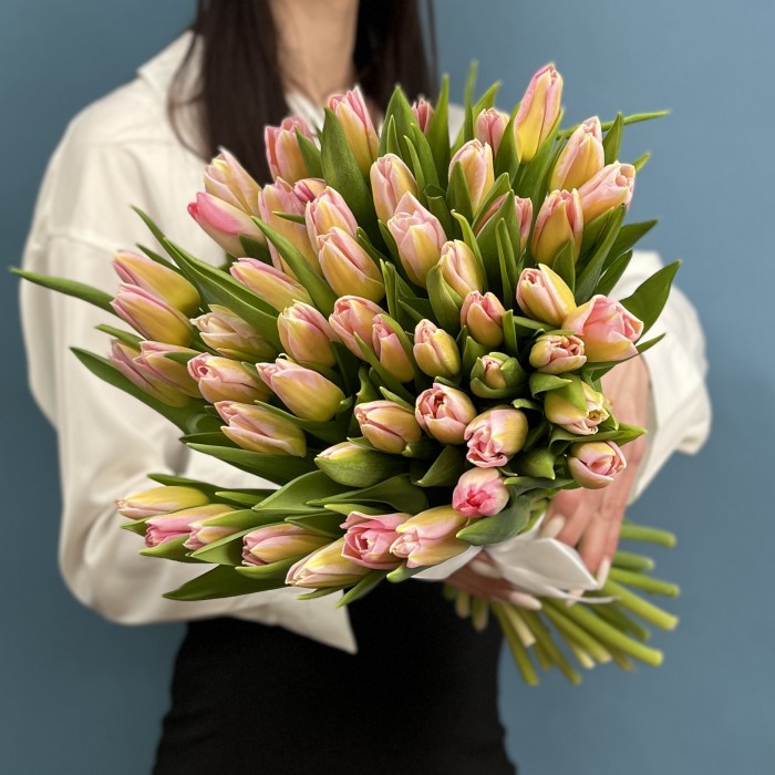 Тюльпан розовый Династия