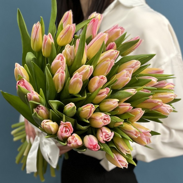 Тюльпан розовый Династия