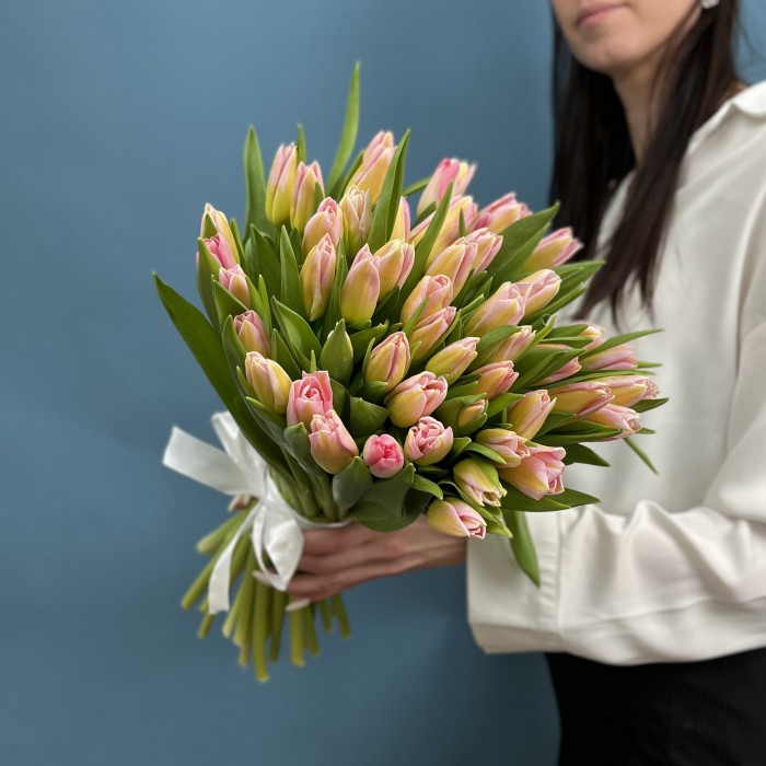 Тюльпан розовый Династия