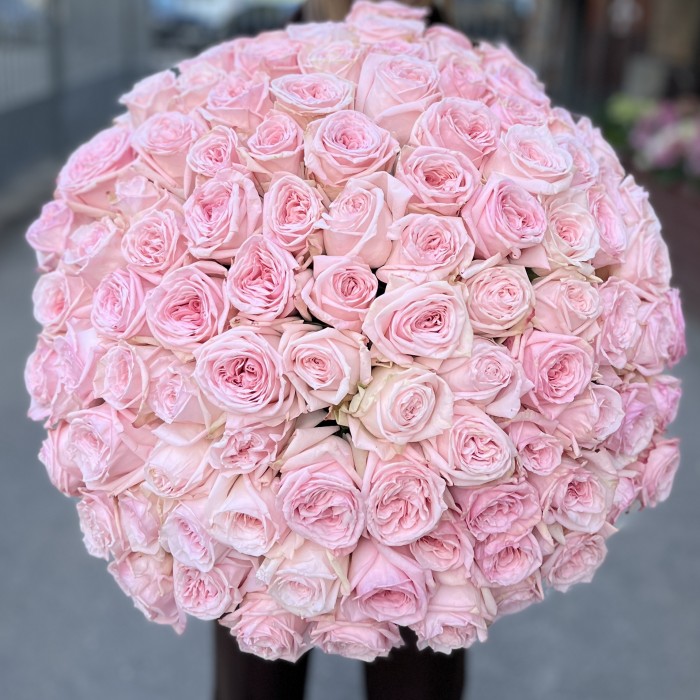 101 ароматная пионовидная Роза Пинк Охара 60 см