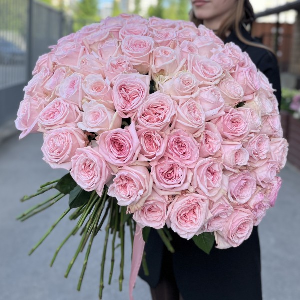 101 ароматная пионовидная Роза Пинк Охара 60 см