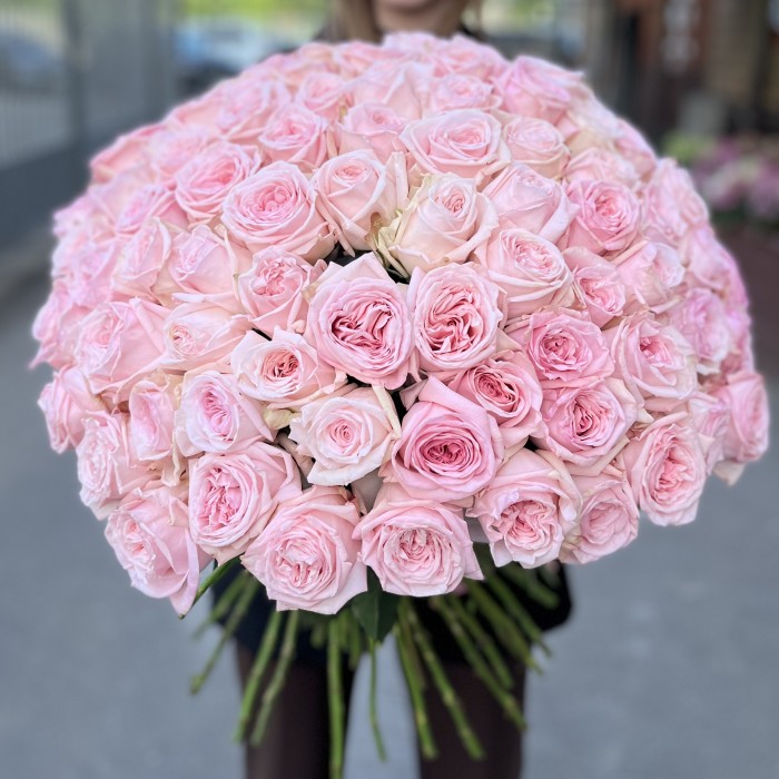 101 ароматная пионовидная Роза Пинк Охара 60 см