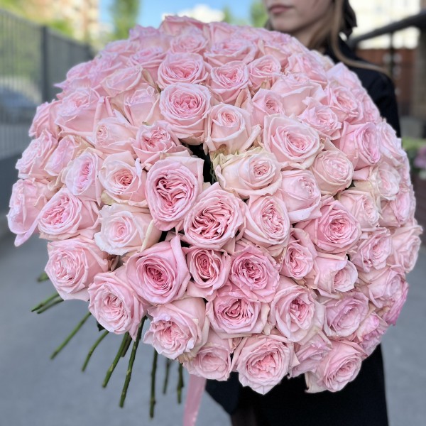 101 ароматная пионовидная Роза Пинк Охара 50 см