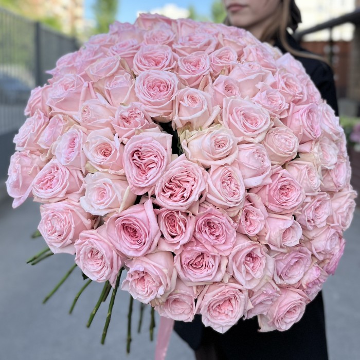 101 ароматная пионовидная Роза Пинк Охара 60 см