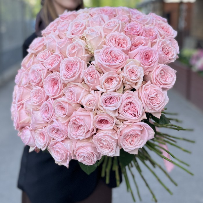 101 ароматная пионовидная Роза Пинк Охара 60 см