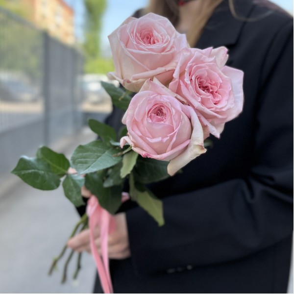 3 ароматные пионовидные розы Пинк Охара 50 см