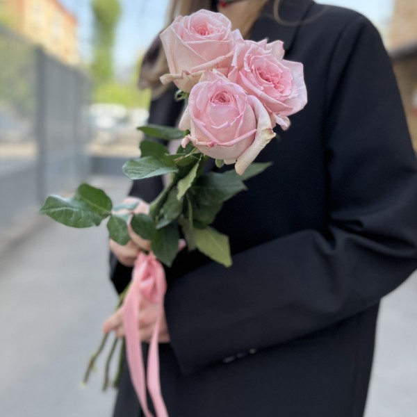 3 ароматные пионовидные розы Пинк Охара 60 см