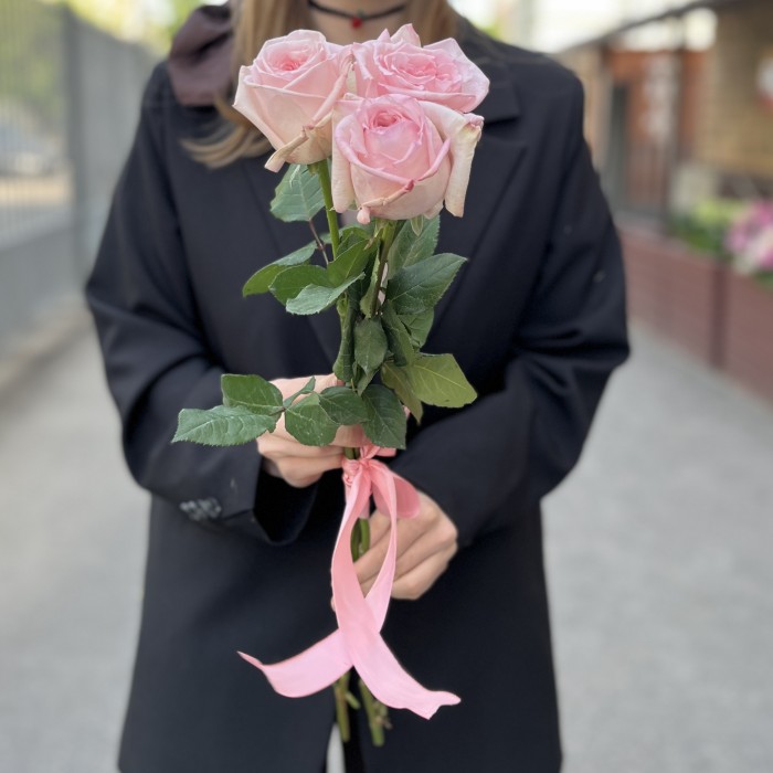 3 ароматные пионовидные розы Пинк Охара 60 см