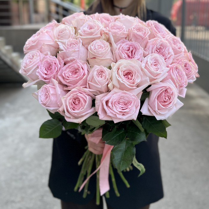 35 ароматных пионовидных Роза Пинк Охара 50 см