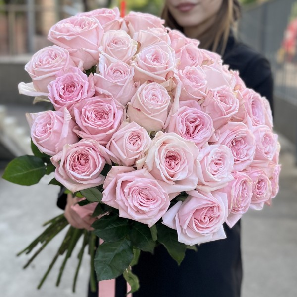35 ароматных пионовидных Роза Пинк Охара 50 см