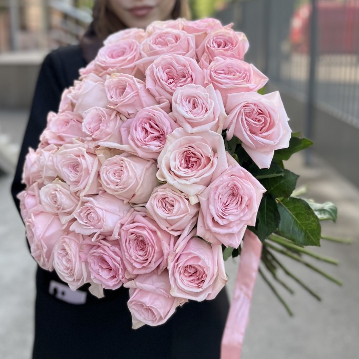 35 ароматных пионовидных Роза Пинк Охара 50 см
