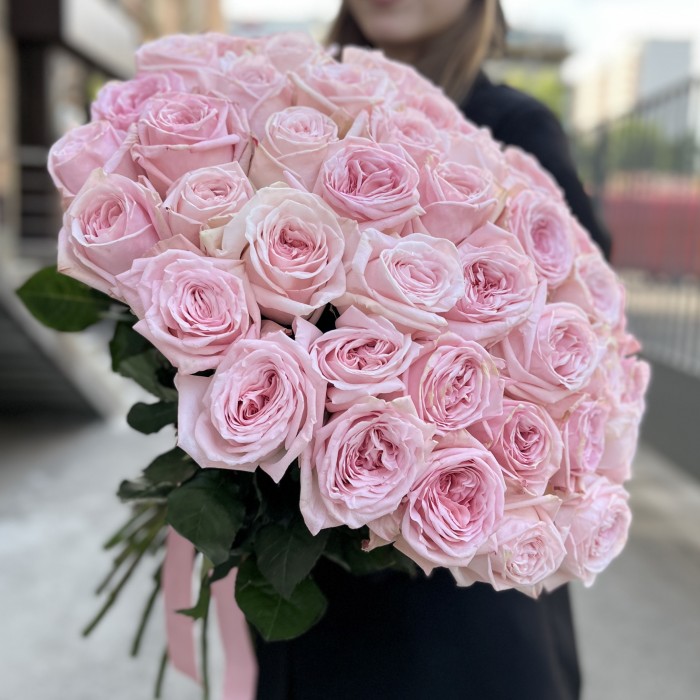 45 ароматных пионовидных Роза Пинк Охара 50 см