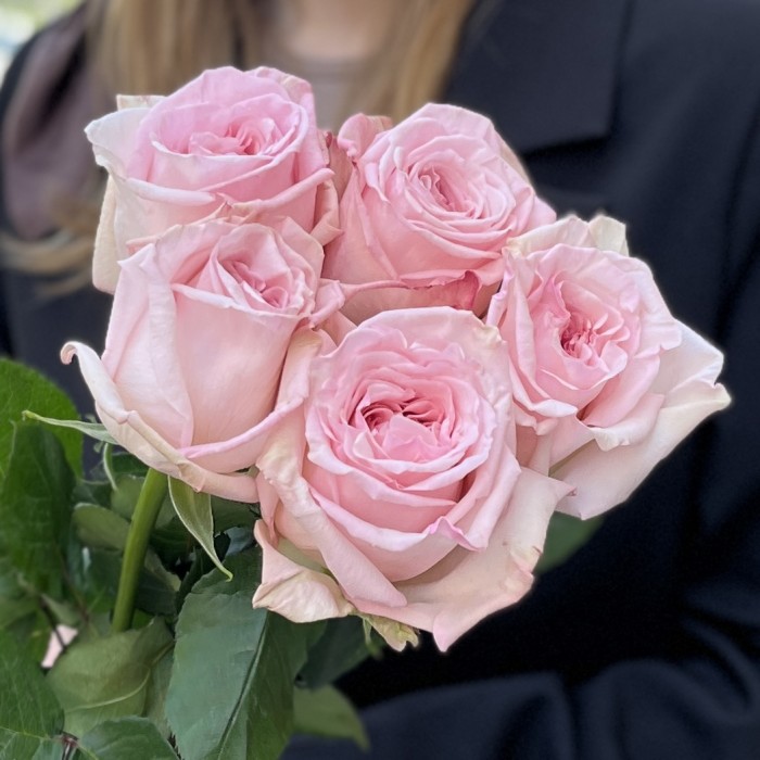 5 ароматных пионовидных роз Пинк Охара 50 см